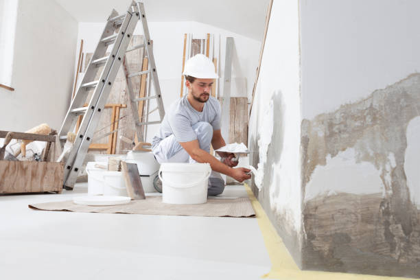 Best Ceiling Drywall Installation  in Fairfield, IA