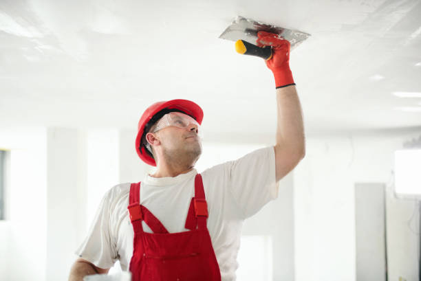 Best Trim and Molding Painting  in Fairfield, IA