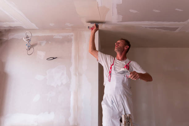 Best Drywall Texturing  in Fairfield, IA